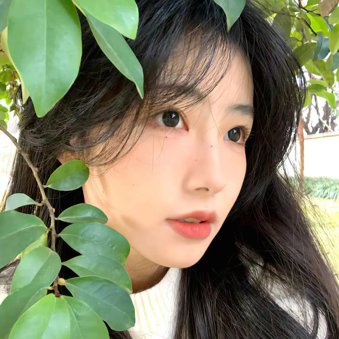 一等家丁